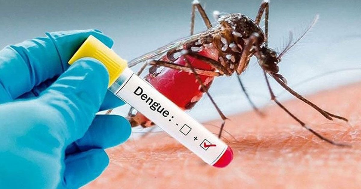 Dengue death toll crosses 500-mark in Bangladesh
