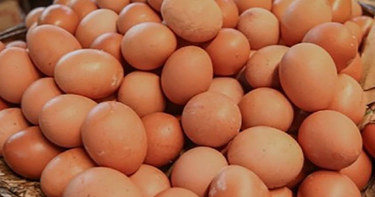 Egg price drops by Tk 2530 per dozen
