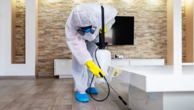 disinfect home
