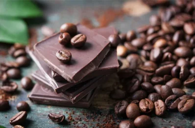 Dark chocolate helps to keep your brain healthy