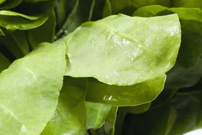 Spinach helps is loosing weight as well