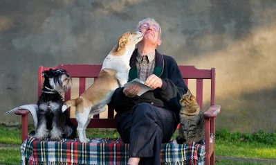 Working after retirement is a good idea