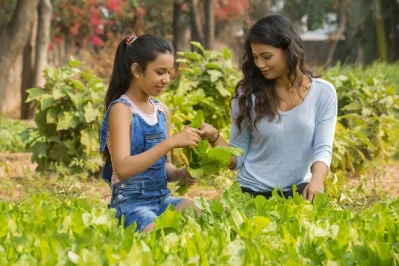 Spinach contains lutein and carotinoin which helps to improve the eyesight.