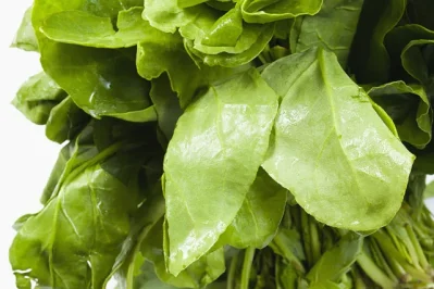 Spinach are enriched in vitamin-D, C, Fiber, Magnesium and Potassium.