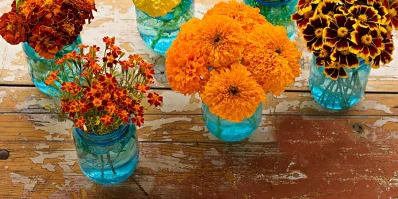 Flowers can reduce stress, spread a pleasant smell, radiate healthy energy