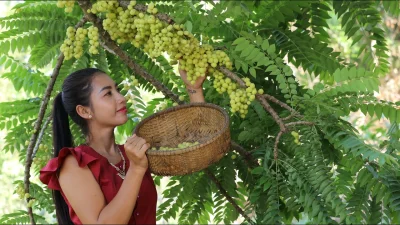 The alkaline nature of Amla is known to clear and strengthen the digestive system
