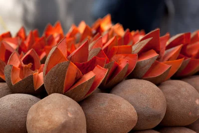 Incorporate sapodilla into your routine and keep digestion problems at bay