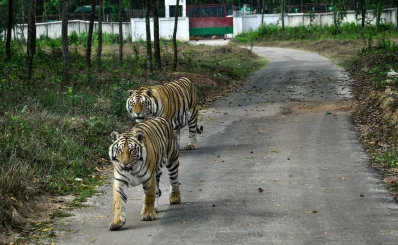 Bangabandhu Sheikh Mujib Safari Park