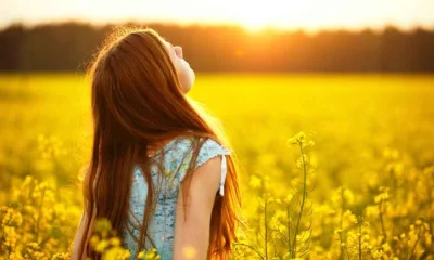 We obtain most of our vitamin D from the sun