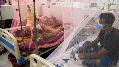 Dengue