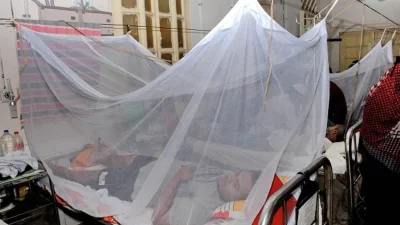 Dengue patient