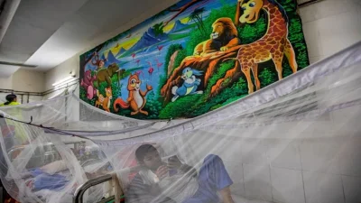 Dengue patients