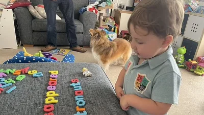 Little Teddy was admitted to Mensa late last year after smashing an IQ test with the group - scoring 139 out of 160 on the Stanford Binet test and shocking his parents, who had no idea quite how smart he was. Photo: Collected