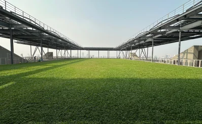 Rooftop lawn