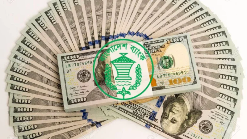 Remittances witness 14.8pc growth in July-August